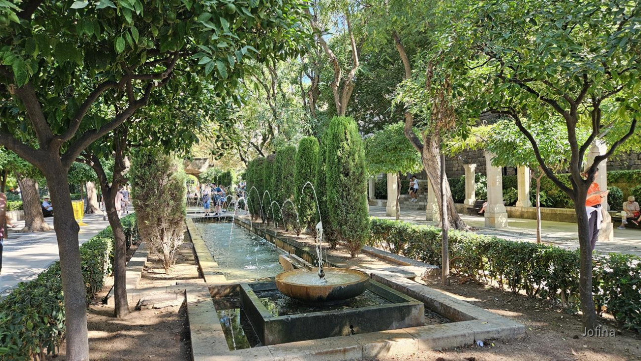 07 Palma 13
