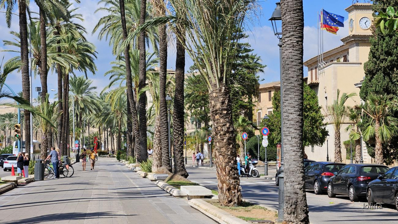 07 Palma 14