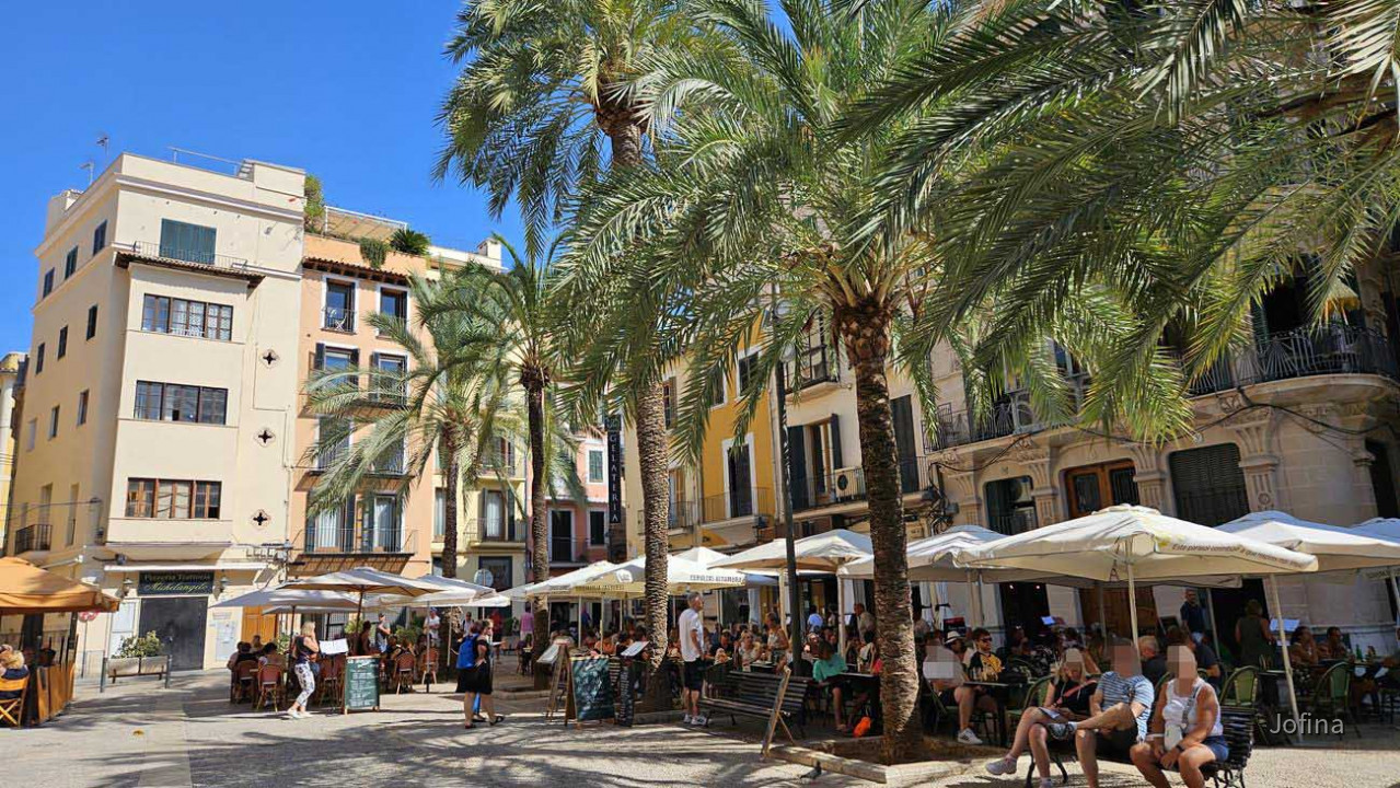 07 Palma 19