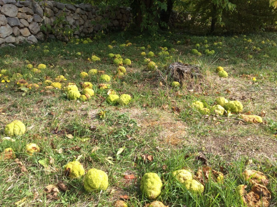 Dubrovnik Ende Oktober