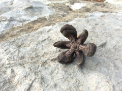 Dubrovnik Ende Oktober