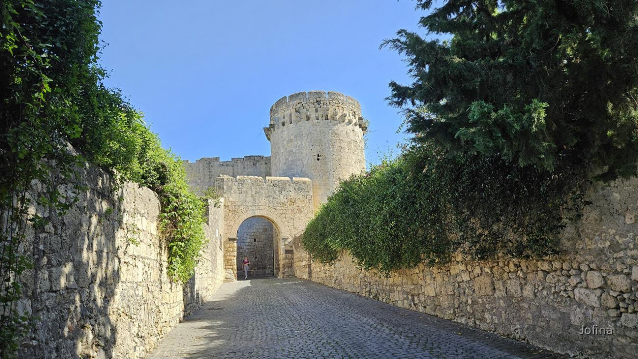 10 Tarquinia 27