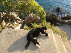 Dubrovnik Ende Oktober