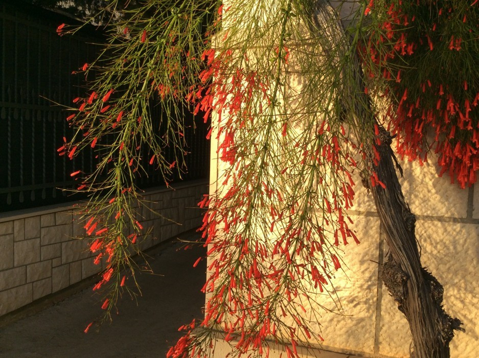 Dubrovnik Ende Oktober