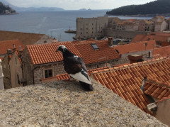 Dubrovnik Ende Oktober