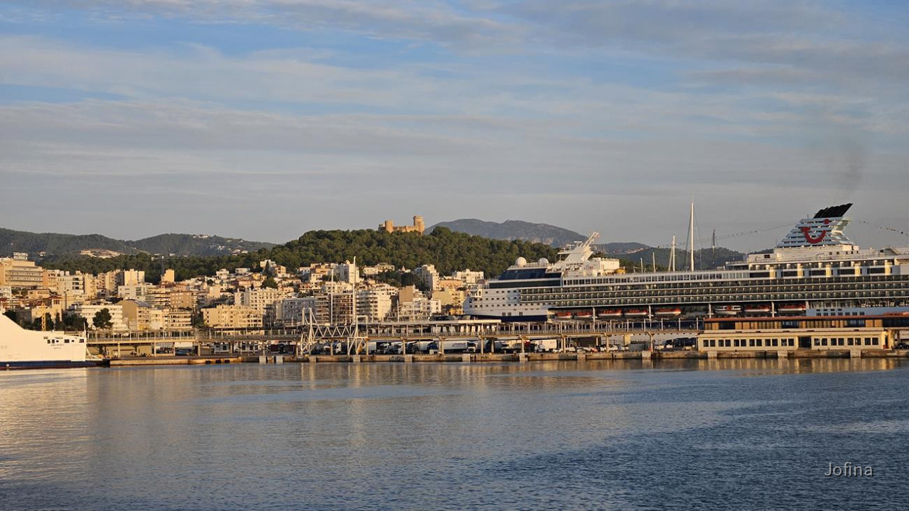 14 Palma
