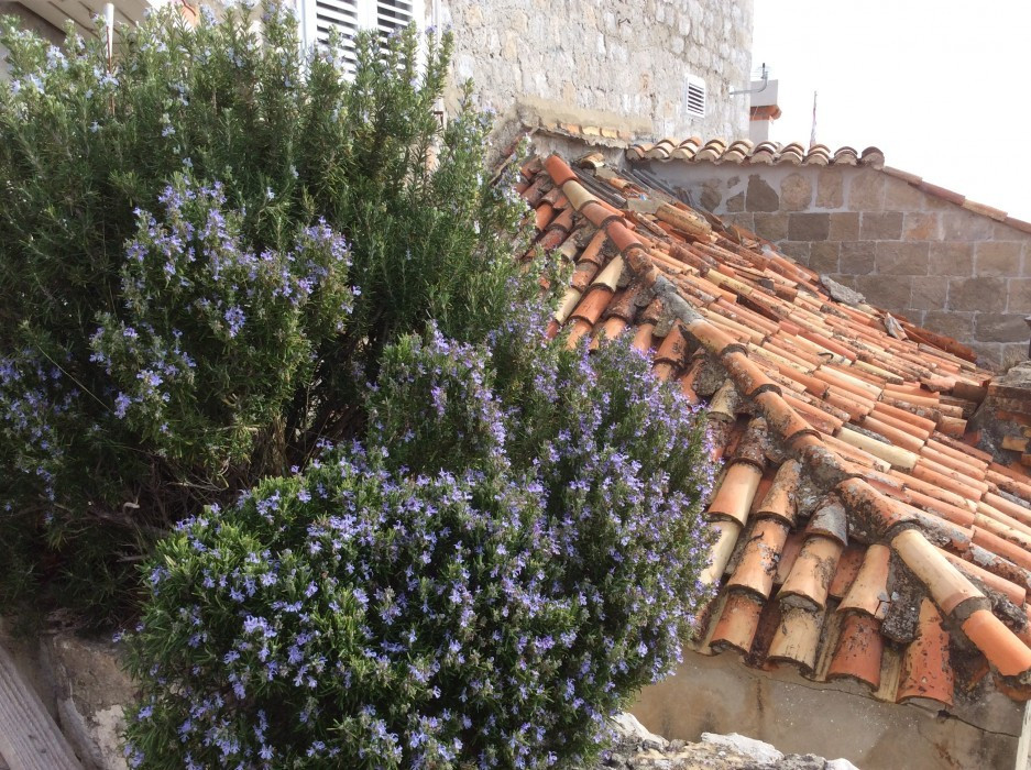 Dubrovnik Ende Oktober