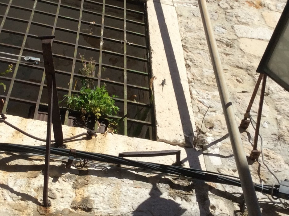 Dubrovnik Ende Oktober