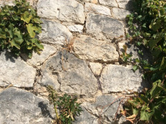 Dubrovnik Ende Oktober