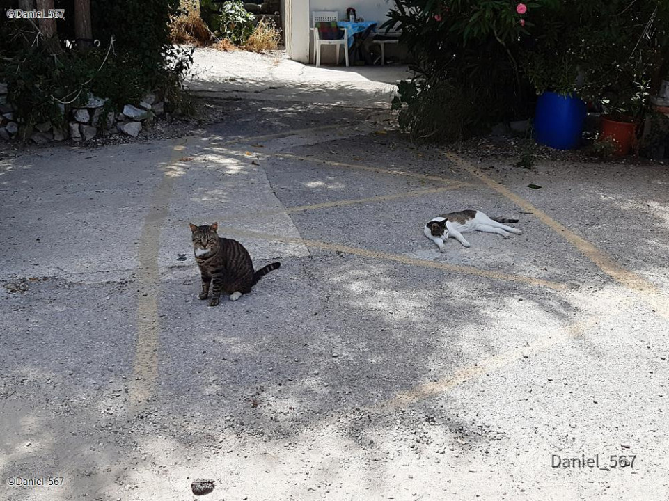 46_Schifffahrt Sibenik Zirje