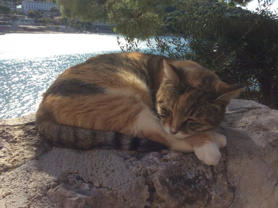 Dubrovnik Ende Oktober