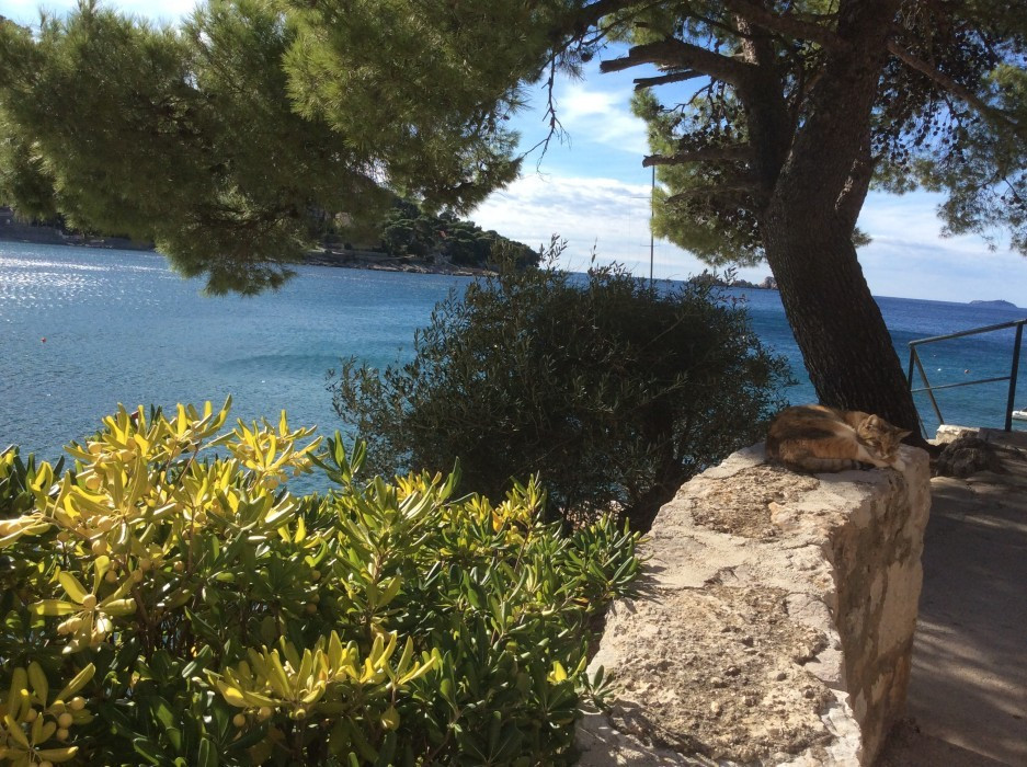 Dubrovnik Ende Oktober
