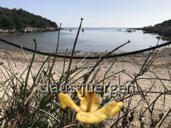 Sisan (3)