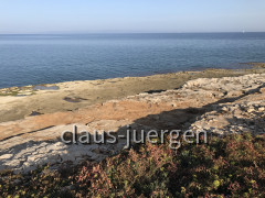 Sisan (29)