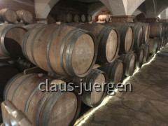 Matusko (13)