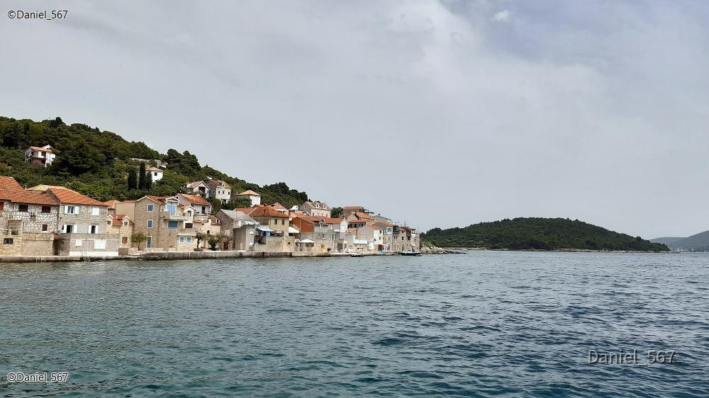 87_Prvic Luka
