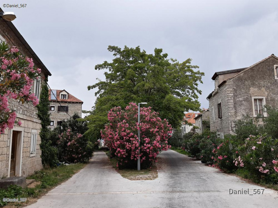 102_Zlarin