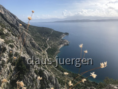 Biokovo (7)