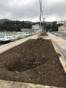 Ploce (9)