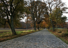 Straßen auf Rügen