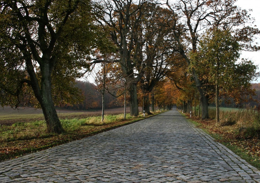 Straßen auf Rügen