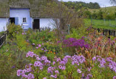 Herbstlicher Garten