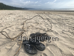 3487A154-0568-4D76-8D67-FFE385F5A289
