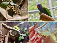 Gärten von Schloss Trauttmansdorff