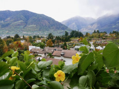 Gärten von Schloss Trauttmansdorff