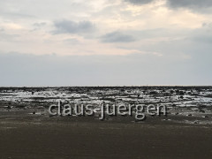 41BB88F1-04D5-4337-A819-174B4C9DF250