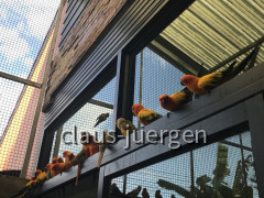 8819362D-5696-4690-9060-37A9BEFC913A
