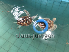51883525-8C04-467D-A631-BD7E8887A76E