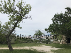 Pag Stari Grad (14)