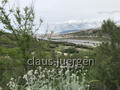 Pag Stari Grad (15)