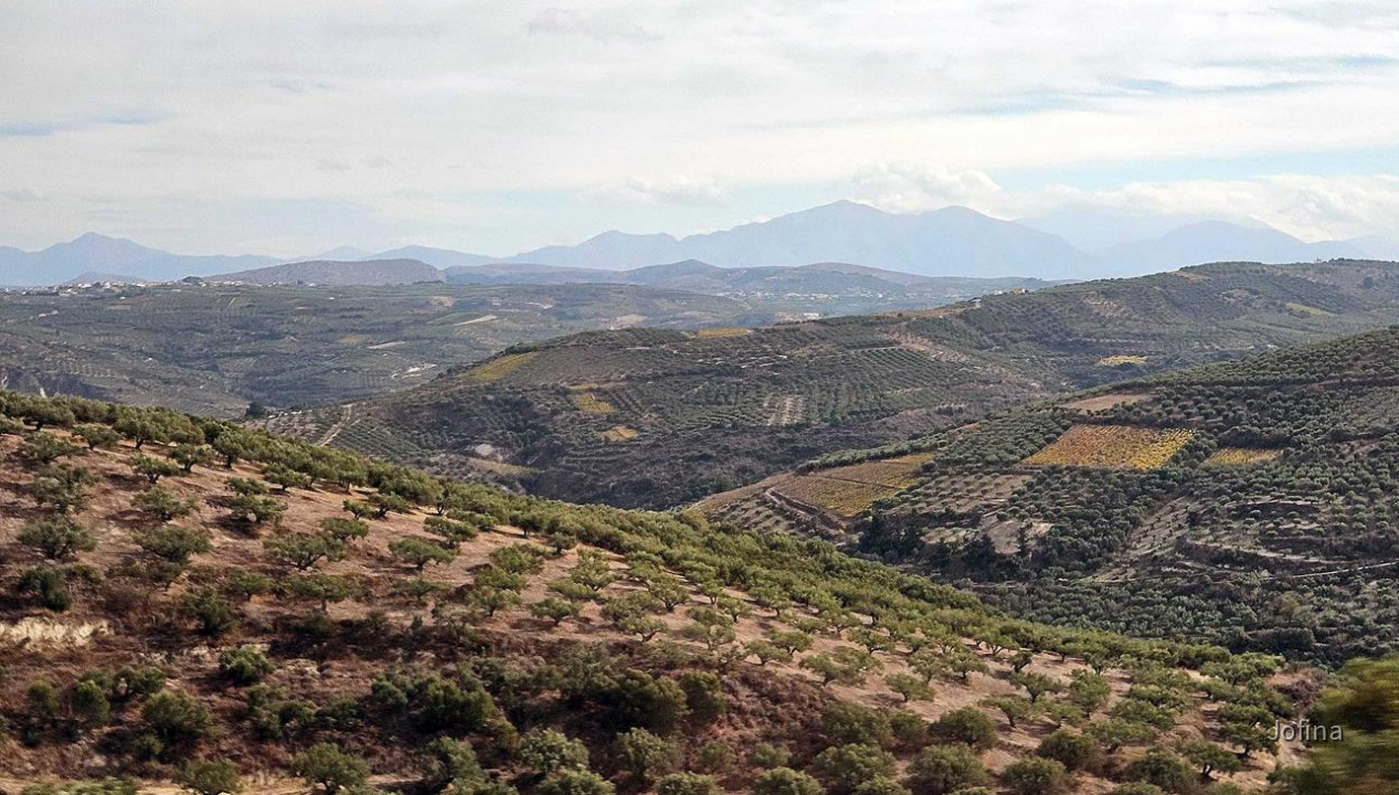 06 Kreta 03