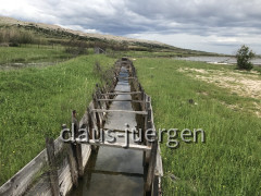 Pag Saline (11)