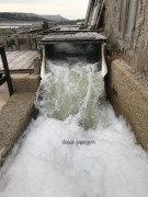 Pag Saline (15)