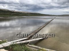 Pag Saline (26)