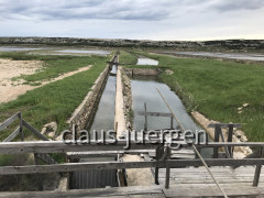 Pag Saline (22)