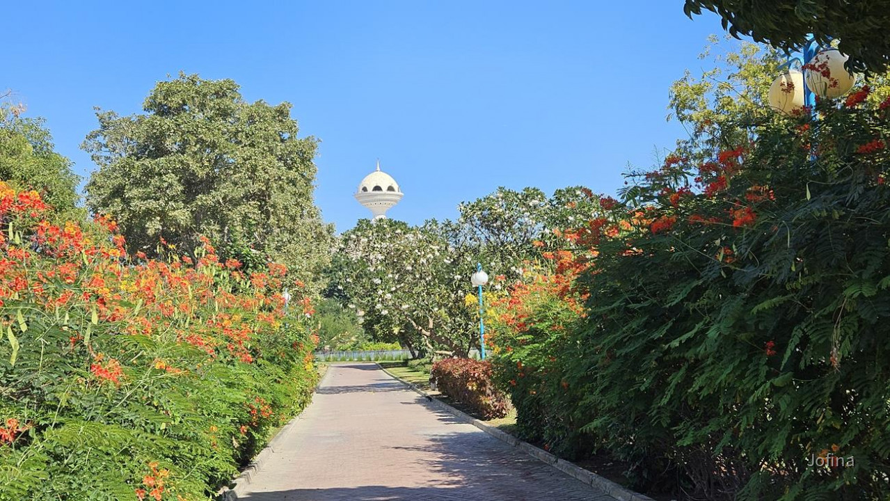18 Mutrah_Oman 08