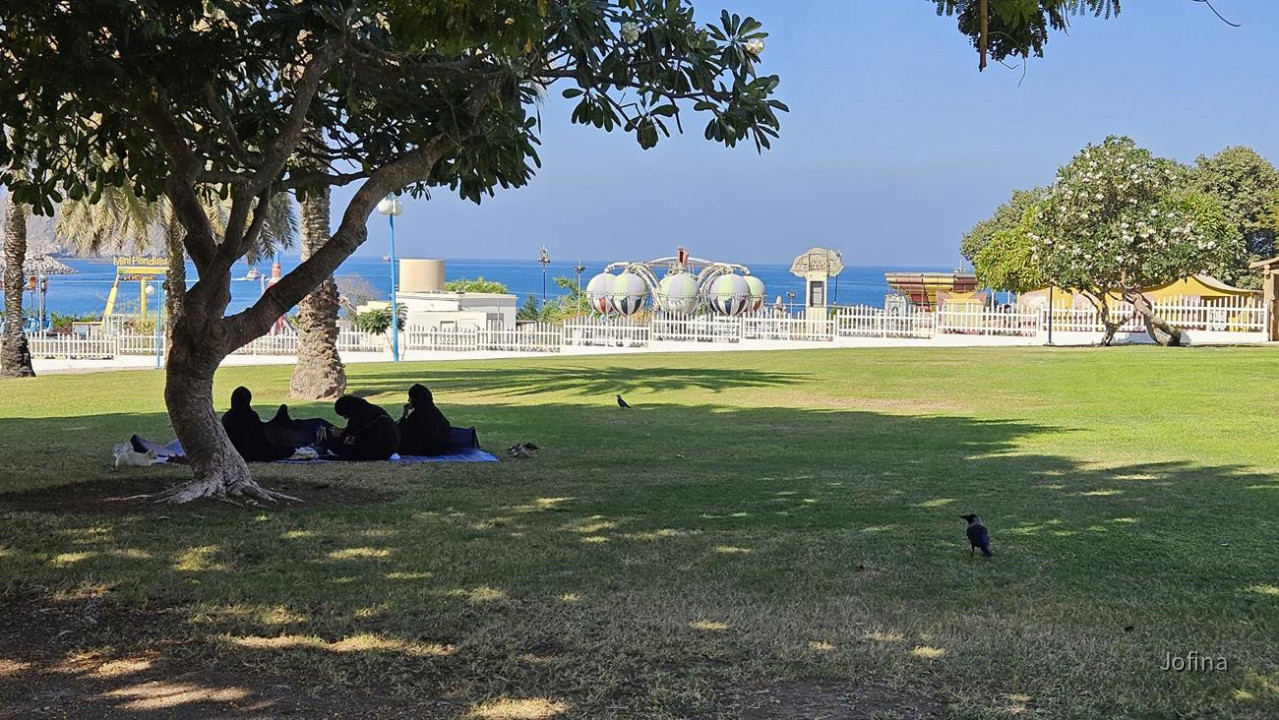 18 Mutrah_Oman 13