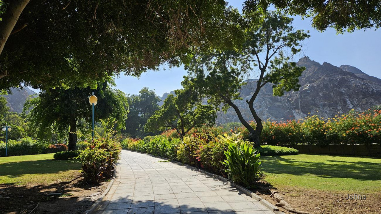 18 Mutrah_Oman 19