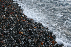 NP Jasmund 077