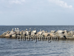 Ueckermünde (2)