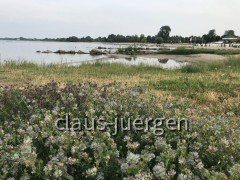 Ueckermünde (12)