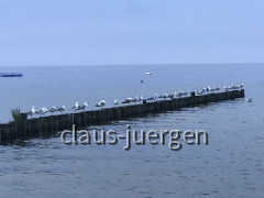 Ueckermünde (32)