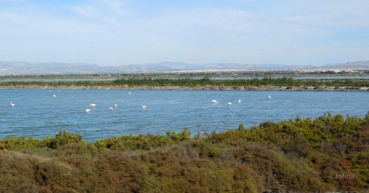 Salinas Santa Pola 01a