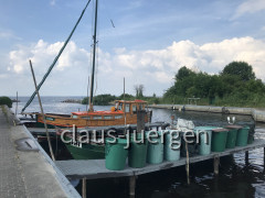 Ueckermünde (109)