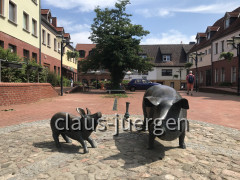 Ueckermünde (118)