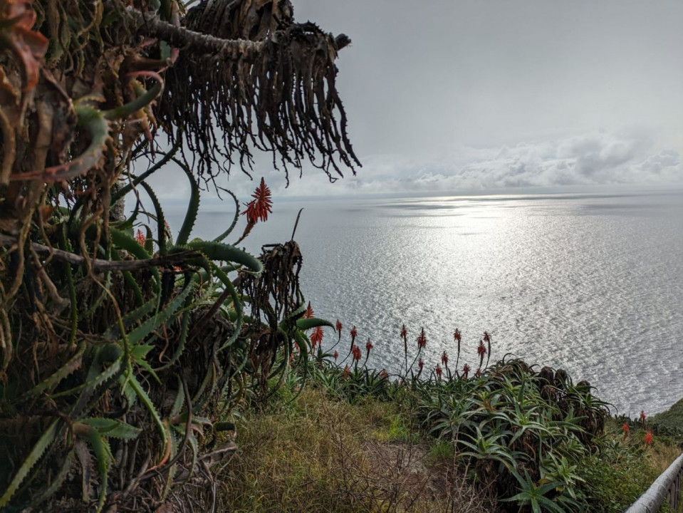 Madeira, Blick auf den Atlantik1